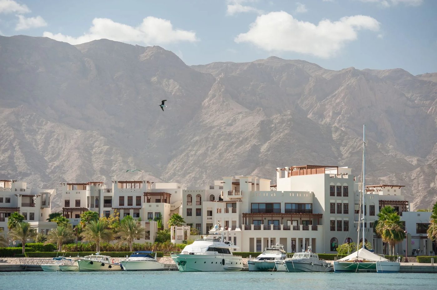 Jebel Sifah — marina buildings below the Al Hajar Mountains
